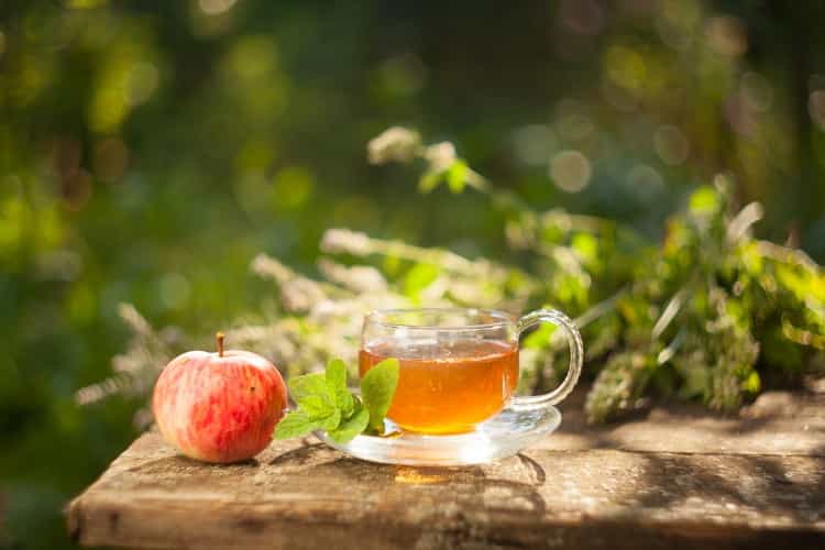 【紅茶のプロ】アップルティー鉄板おすすめ人気ランキング10選【おすすめ商品もご紹介！】