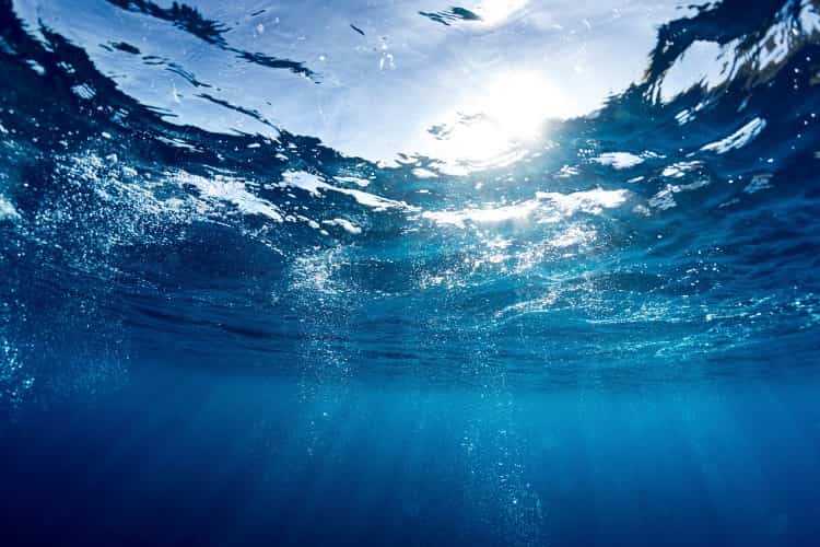 海洋深層水鉄板おすすめ人気ランキング7選【効果や効能を紹介】