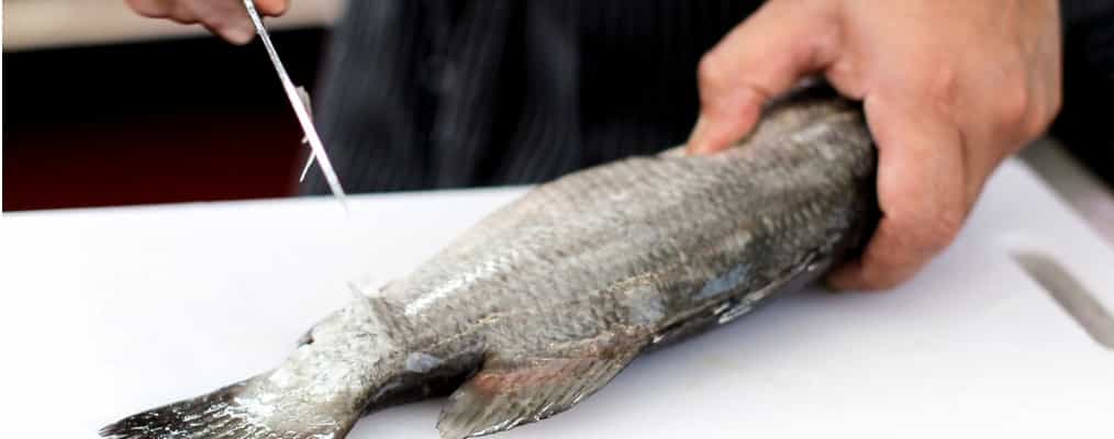 イトーヨーカドーネットスーパー魚調理