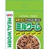 生姜紅茶